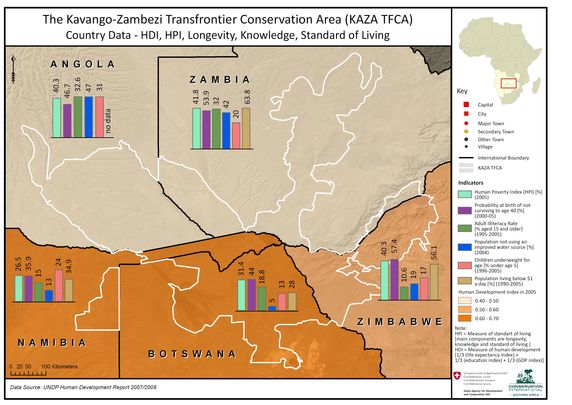 International Activities